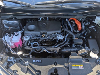 2025 Toyota Sienna LE