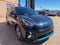 2020 Kia Niro EV EX Premium