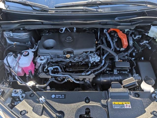 2025 Toyota Sienna LE AWD 8-Passenger (Natl)