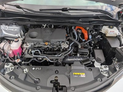 2023 Toyota Sienna Woodland Edition AWD 7-Passenger (Natl)