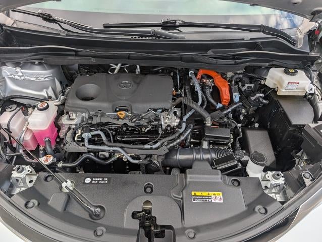 2023 Toyota Sienna Woodland Edition AWD 7-Passenger (Natl)